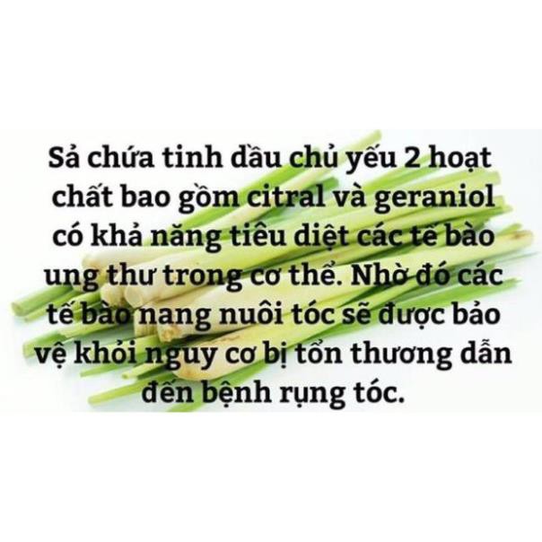 [ĐÁNG TIN CẬY]Thảo dược bồ kết túi lọc🍃chữa rụng tóc🔥nấm tóc🍃30 túi lọc nhỏ