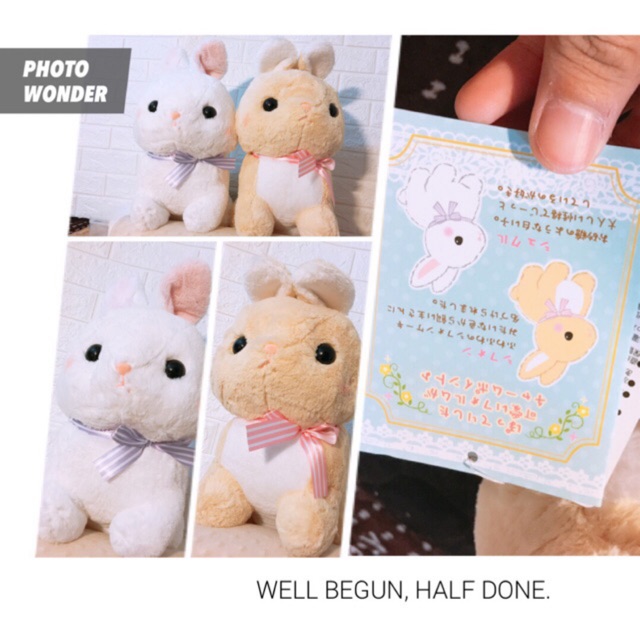 Gấu thỏ usagi amuse
