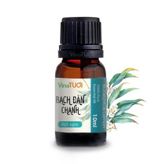 Tinh dầu thiên nhiên Bạch Đàn Chanh - VINA TƯƠI