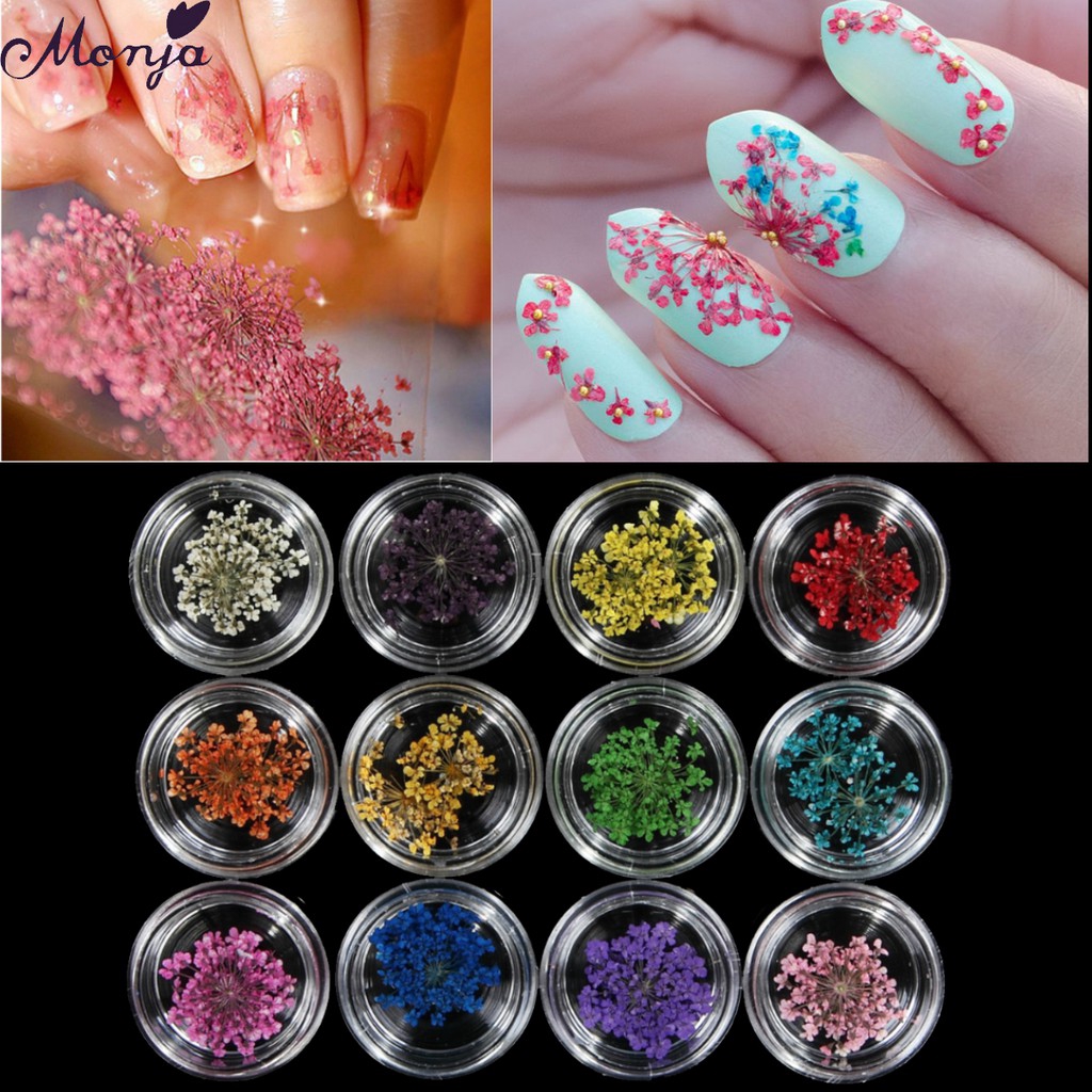 MONJA Bộ hoa khô 3D tự nhiên 12 màu sắc dành cho trang trí móng tay nghệ thuật