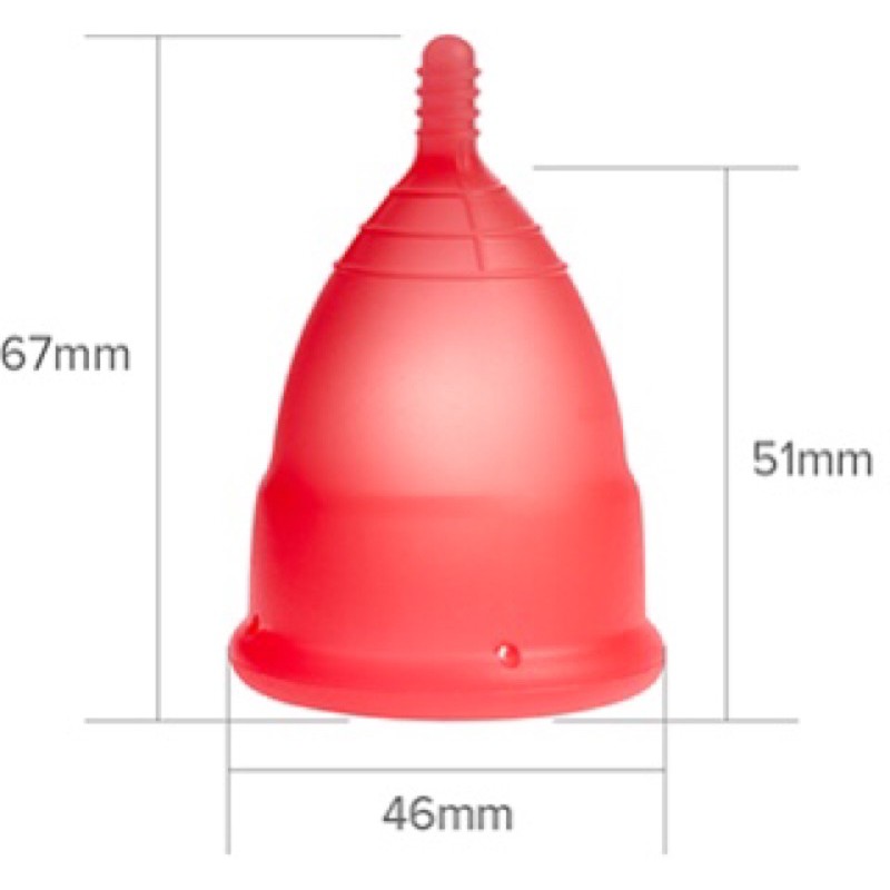 [Tặng full phụ kiện] Cốc nguyệt san Eva cup