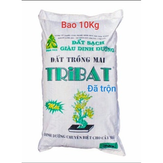 Đất trồng mai tribat 10kg 20dm đã trộn phân