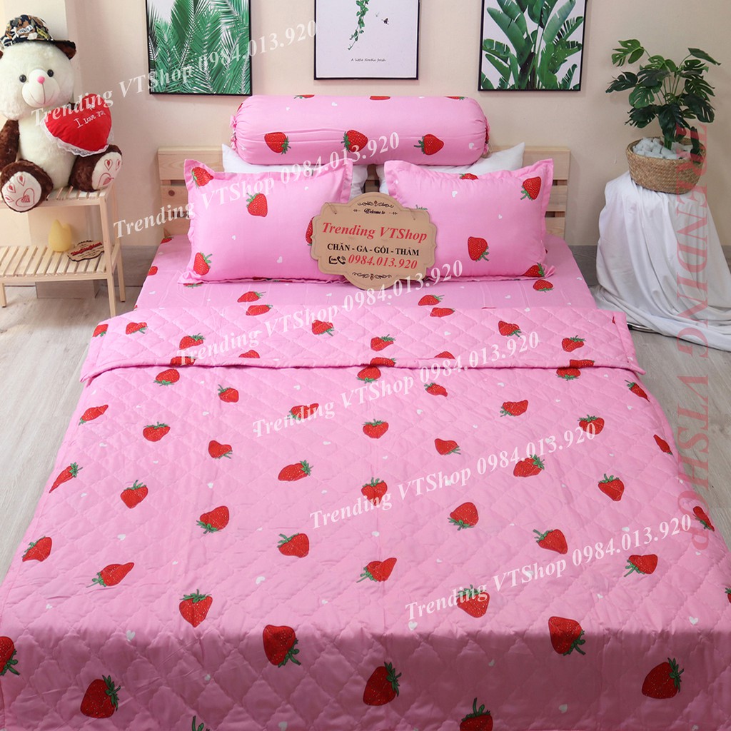 Bộ 5 món chăn hè ga gối chất liệu Poly Cotton giá siêu rẻ | BigBuy360 - bigbuy360.vn