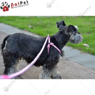 Dây Dắt Kèm Yếm Ngực Chấm Chỉ DDYN008 Cho Thú Cưng