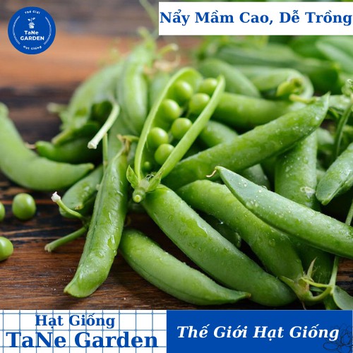 10Gr Hạt Giống Đậu Hà Lan - TaNe Garden