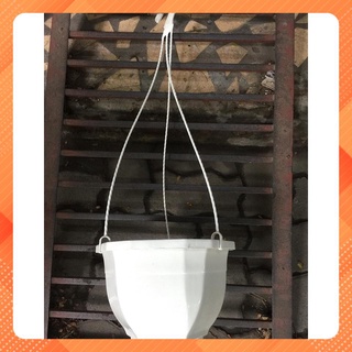 10 chậu nhựa treo lục giác 10A 21x15cm màu trắng