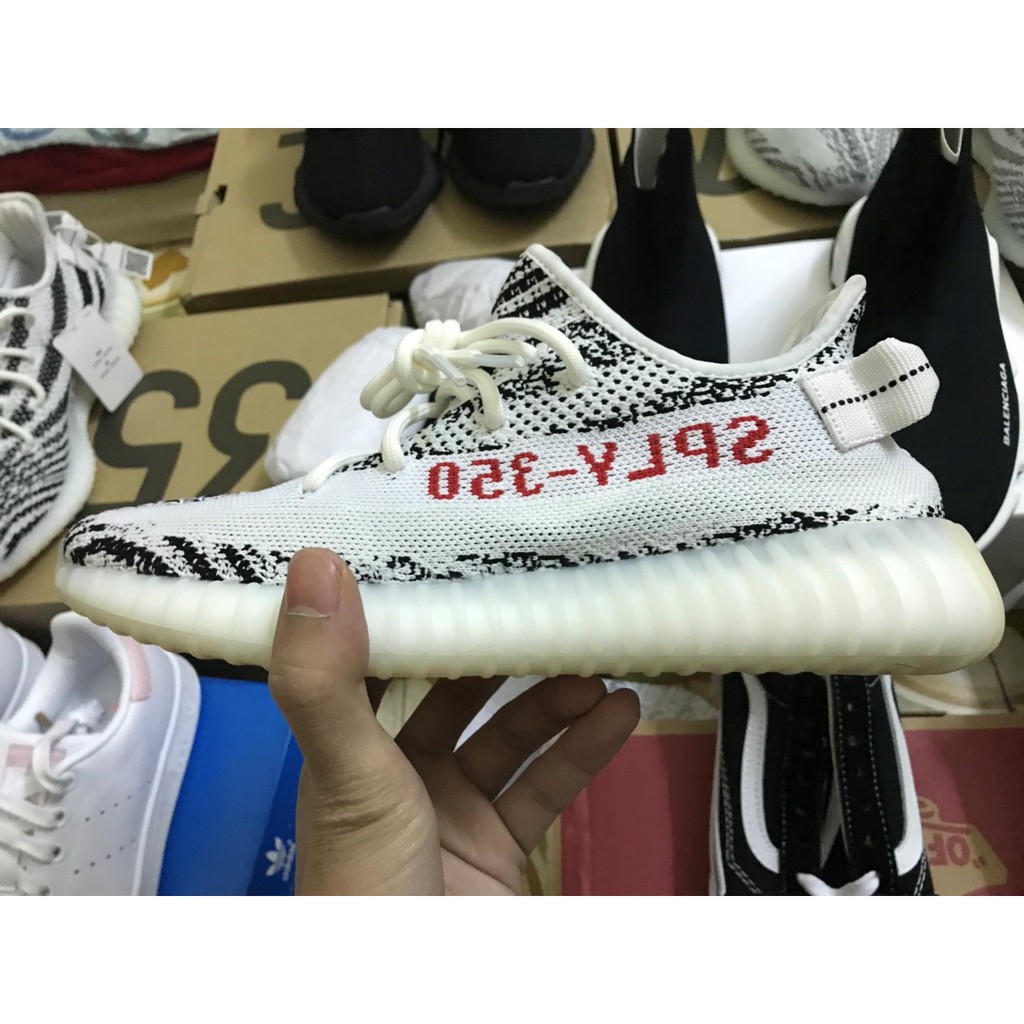 yeezy zebra 1