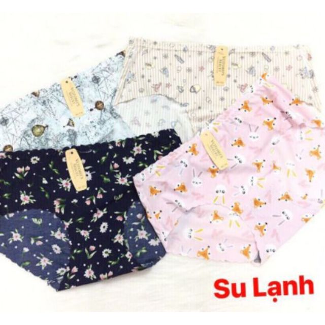 Quần Lót Nữ - 5 Quần Su Lạnh Hình Thú May Lưng Cắt Viền Đùi - Mã 773