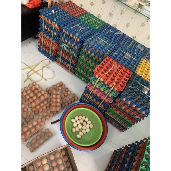 [Q7]Trứng gà công nghiệp/gà ta - loại 1 - trứng mới hằng ngày tại vườn bến tre | BigBuy360 - bigbuy360.vn