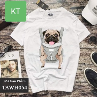 Áo chó ngồi địu (KT)