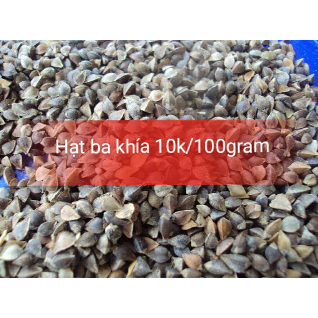 Hạt ba khía 1kg