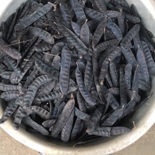 1 Kg Bồ kết khô hạt mẩy