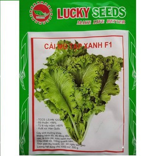 Hạt giống rau cải mù tạt xanh F1 { gói 5gram }