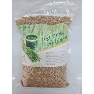 Hạt Giống Cỏ Lúa Mì Viet Healthy - Túi 3kg