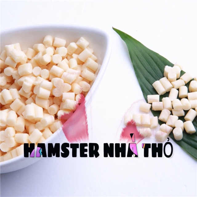 50gram phô mai cho hamster