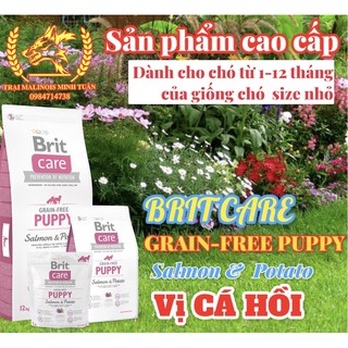 thức ăn cho chó con BRIT_PUPPY CARE Nhập séc túi 3 kg