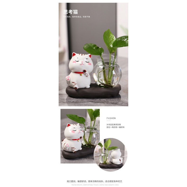 Lọ Hoa Thủy Canh Hình Mèo May Mắn Sáng Tạo Trang Trí Phòng Khách Mới