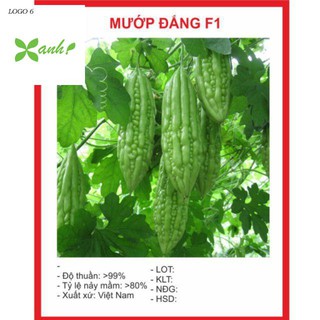 Hạt Giông Mướp Đắng 10 Hạt