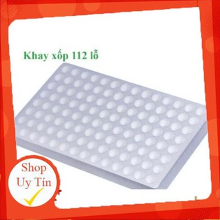 5 Khay xốp ươm hạt 112