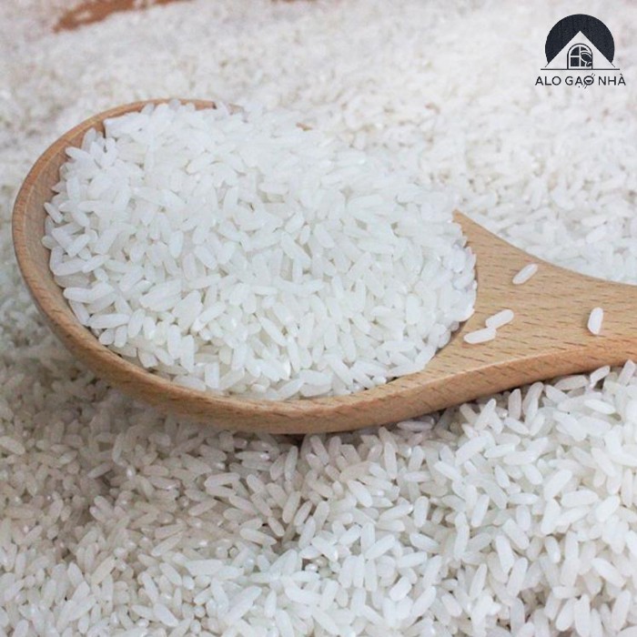 Combo 5kg Gạo St25 chính hãng Giao Hàng Nhanh 24/7 Hoả Tốc