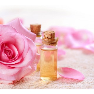 Combo 03 lọ tinh dầu hoa hồng tự nhiên 10ml