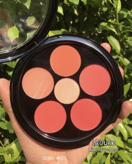 Phấn má hồng ODBO THÁI LAN