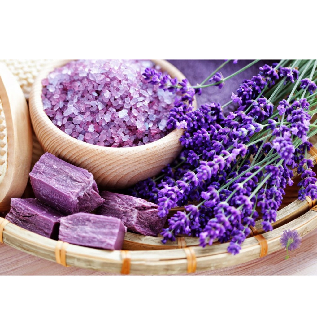 Tinh dầu hoa oải hương (lavender) Pháp Mộc Mây