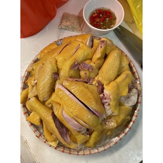 [PHÚ NHUẬN] GÀ Ủ MUỐI NỮA CON