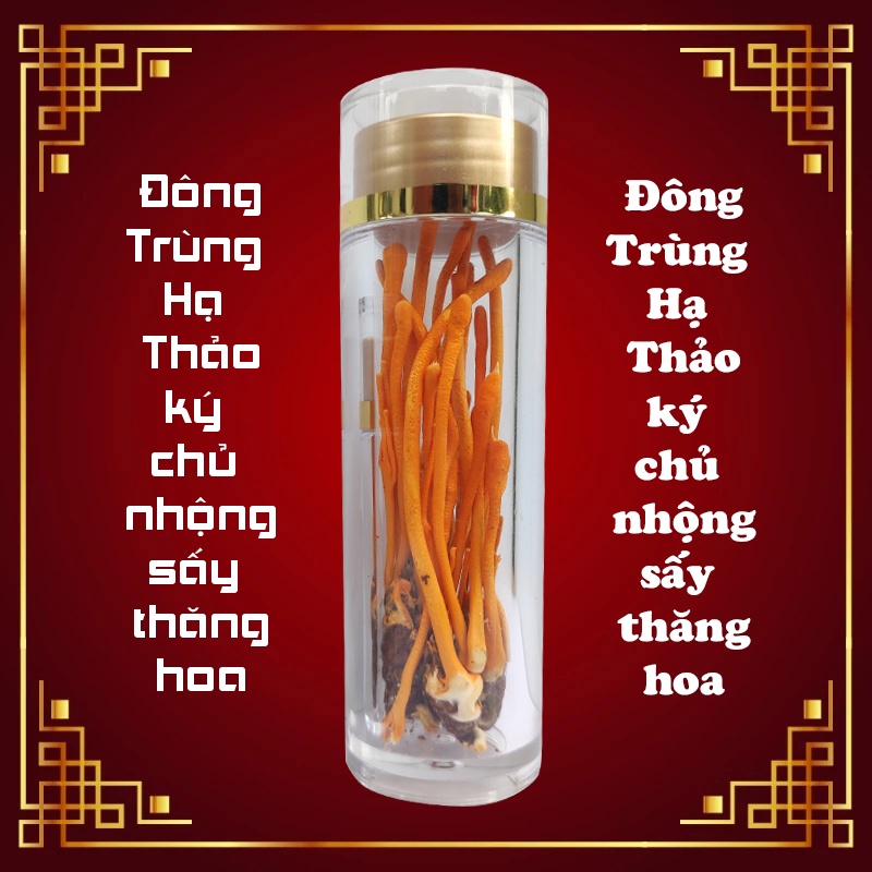 Đông Trùng Hạ Thảo nguyên con ký chủ Nhộng Sấy thăng hoa