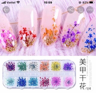 Hoa khô ẩn gel,bột
