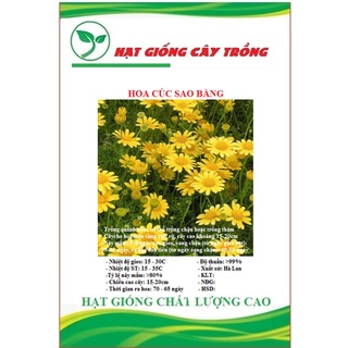 Hạt giống hoa cúc sao băng ct459 - gói 50 hạt