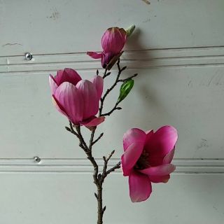 Hoa mộc lan lụa (hoa giả loại đẹp)