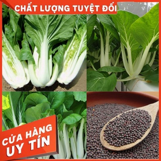 🌱hạt giống cải bẹ trắng_20gr🌱