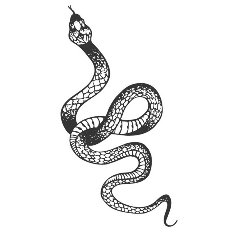 Nếu bạn muốn thể hiện sự mạnh mẽ và quyết đoán, hình xăm con rắn là một sự lựa chọn thú vị. Vẽ hình xăm con rắn tại những địa điểm uy tín và có chất lượng là cách tốt nhất để bạn mang lại sự đẳng cấp cho kiểu xăm của mình.