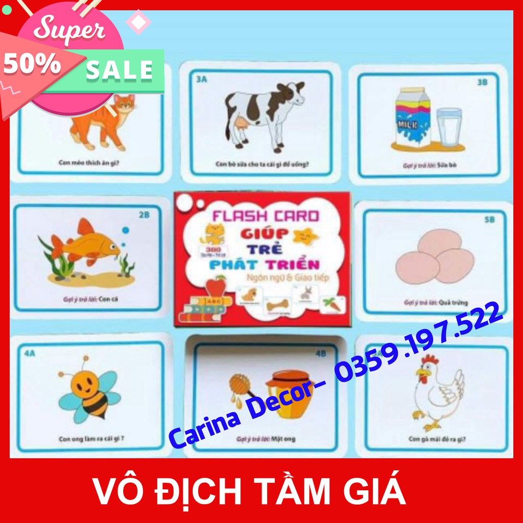 Flash card giúp trẻ tăng trưởng tiếng nói và giao tiếp: người nào? dòng gì? Ở đâu? khi nào? tại sao? - Carina Decor