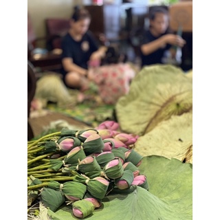 Trà ướp bông sen Tây Hồ Abcsen Tea
