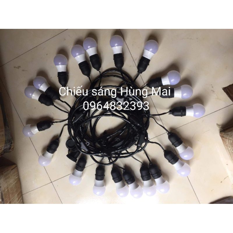 Dây treo trang trí ngoài trời chống nước 10m 20 bóng