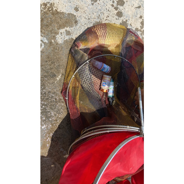 Mồi Câu Cá - Tinh Dầu Tôm Nam Cực - Nhập Khẩu Đài Loan