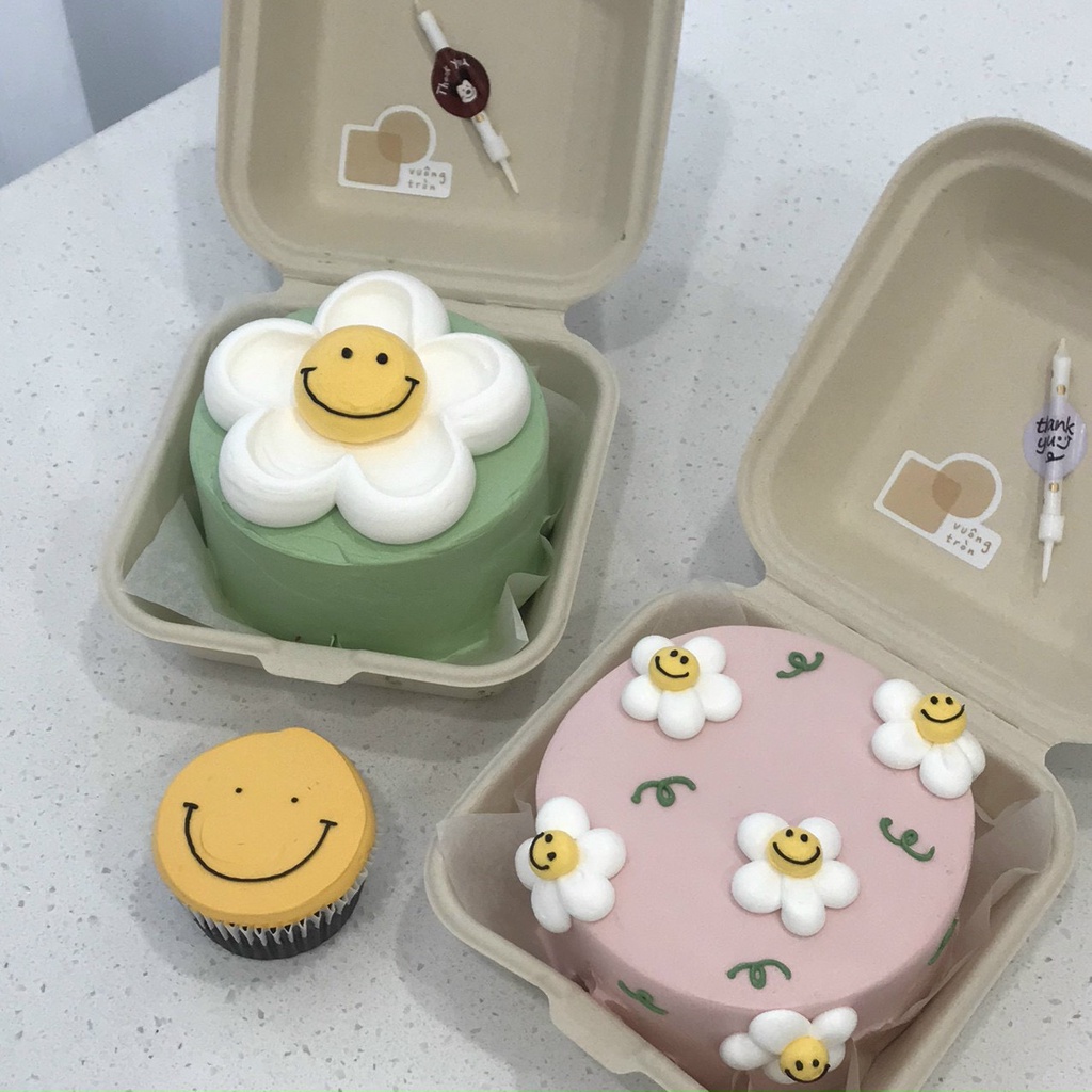 50 Hộp bã mía vuông 15x15x8