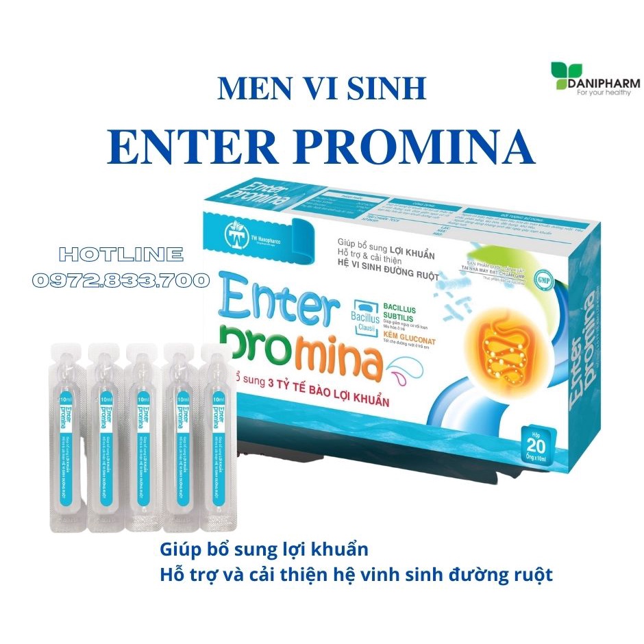 Men vi sinh ENTERPROMINA, Cân bằng hệ vi sinh đường ruột