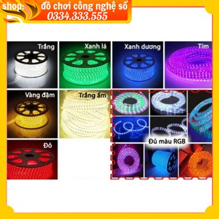(ẢNH THẬT) đèn led  dây ống trang trí (nhận từ 10m )bán theo mét