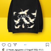 Áo nỉ hoodie
