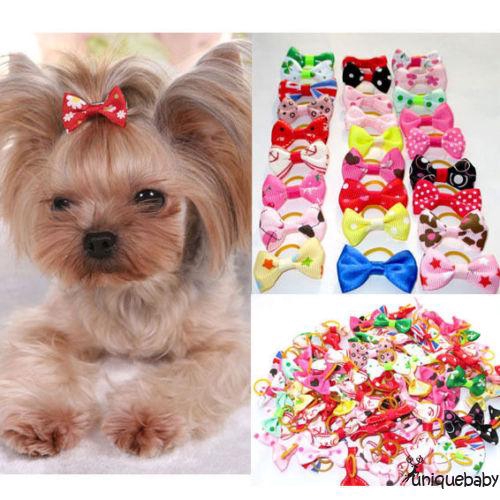 Set 20 dây nơ cột tóc trang trí thú cưng dễ thương