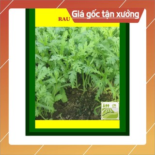 20G - Hạt Giống Rau Tần Ô