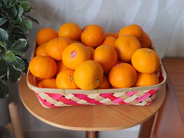 Giỏ quà tết nhiều mẫu đẹp gía sỉ, giỏ quà tết mây tre | BigBuy360 - bigbuy360.vn