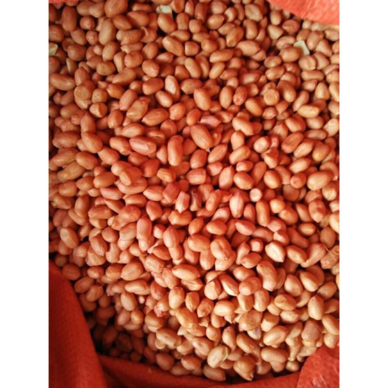 (500g )Lạc quê bóc tay