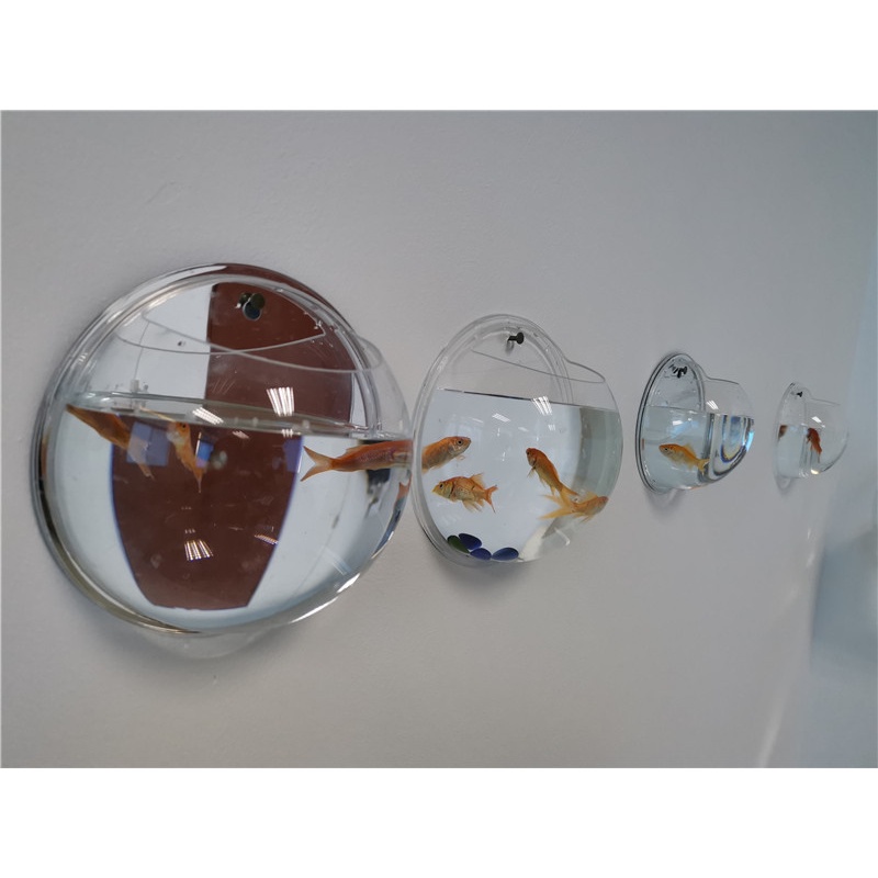Bể Cá Gắn Tường Ba Màu Sắc Hình Cầu Bằng acrylic Sáng Tạo