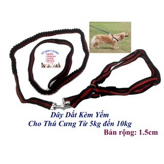 DÂY DẮT KÈM VÒNG CỔ DẠNG YẾM CHO Thú Cưng Chó Mèo dưới 10kg Chất liệu dù và thun co giãn bản rộng 1.5cm Sọc màu đỏ
