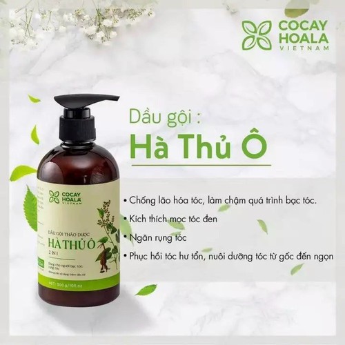 DẦU GỘI ĐẦU HÀ THỦ Ô NGĂN RỤNG TÓC LOẠI 800ML