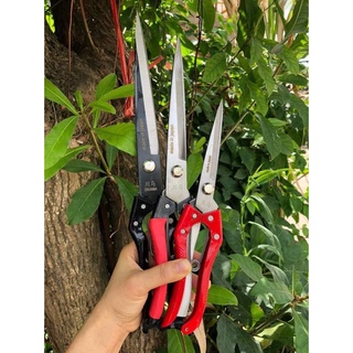Combo 3 kéo cắt tỉa lá, hoa, chi dăm